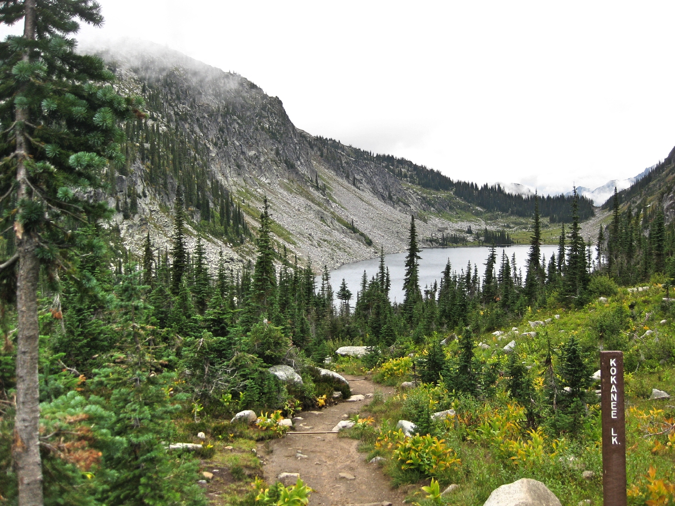 British Columbia verbessert Reservierungssystem für Campingplätze