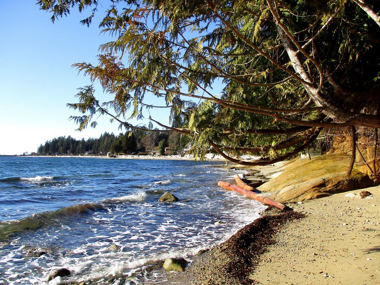 Strandspaziergang in Roberts Creek, B.C., Kanada.