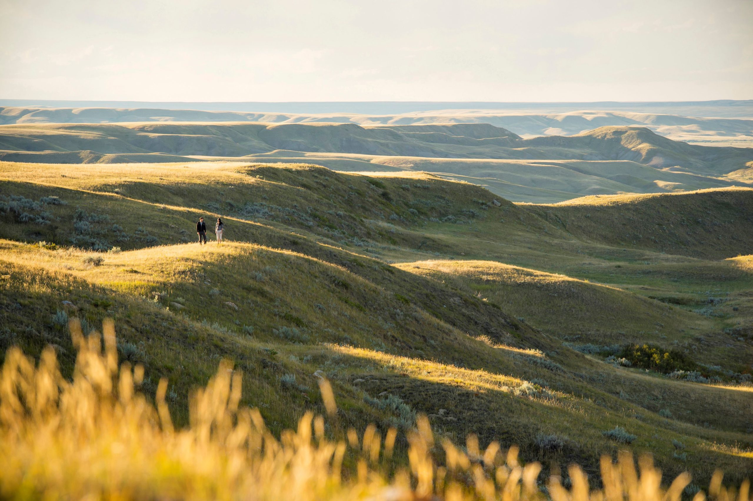 „Wild Prairie Man“ – Dokumentarfilm aus Saskatchewan bei Filmfestspielen