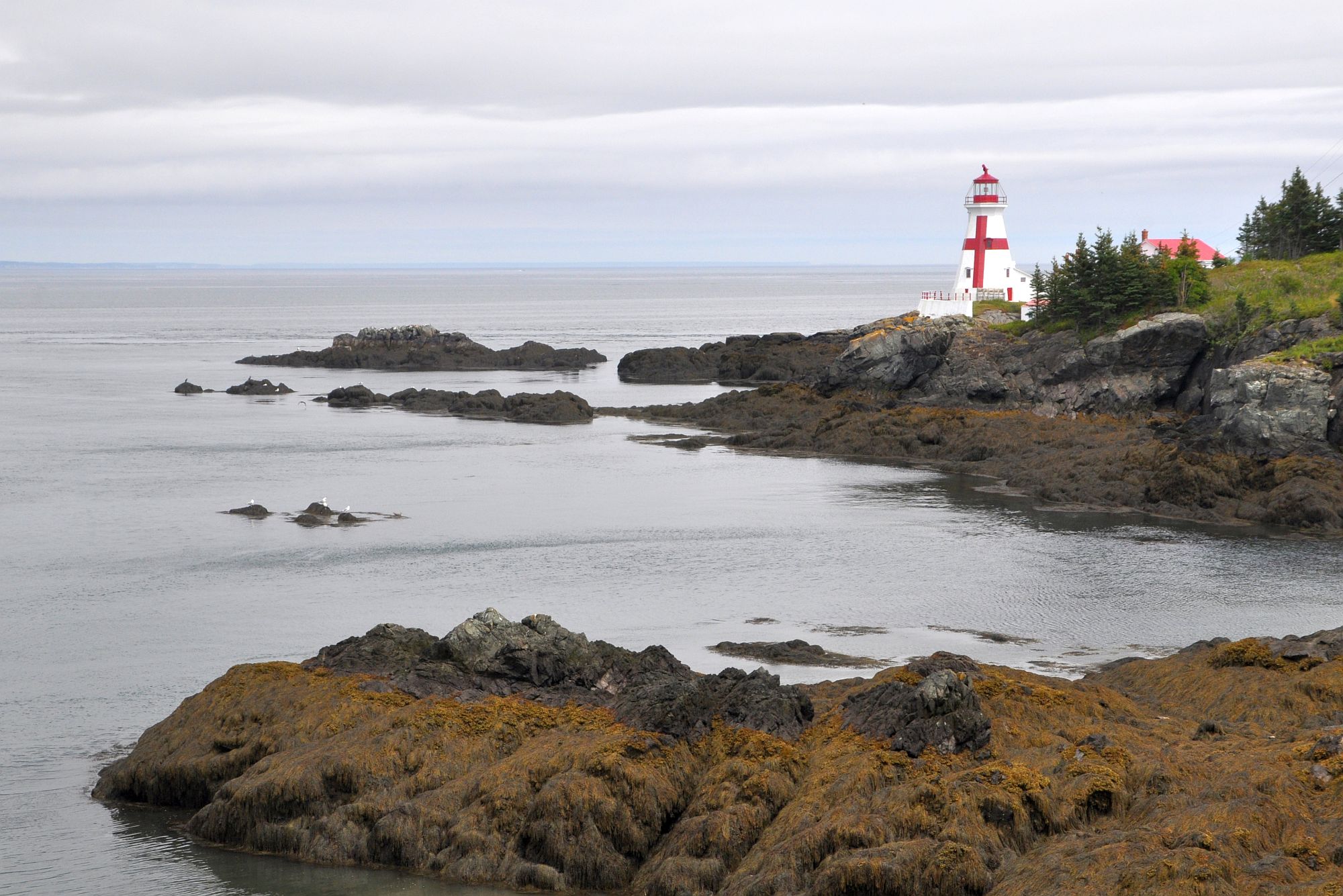 Abseits ausgetretener Pfade in Nova Scotia, New Brunswick und Prince Edward Island